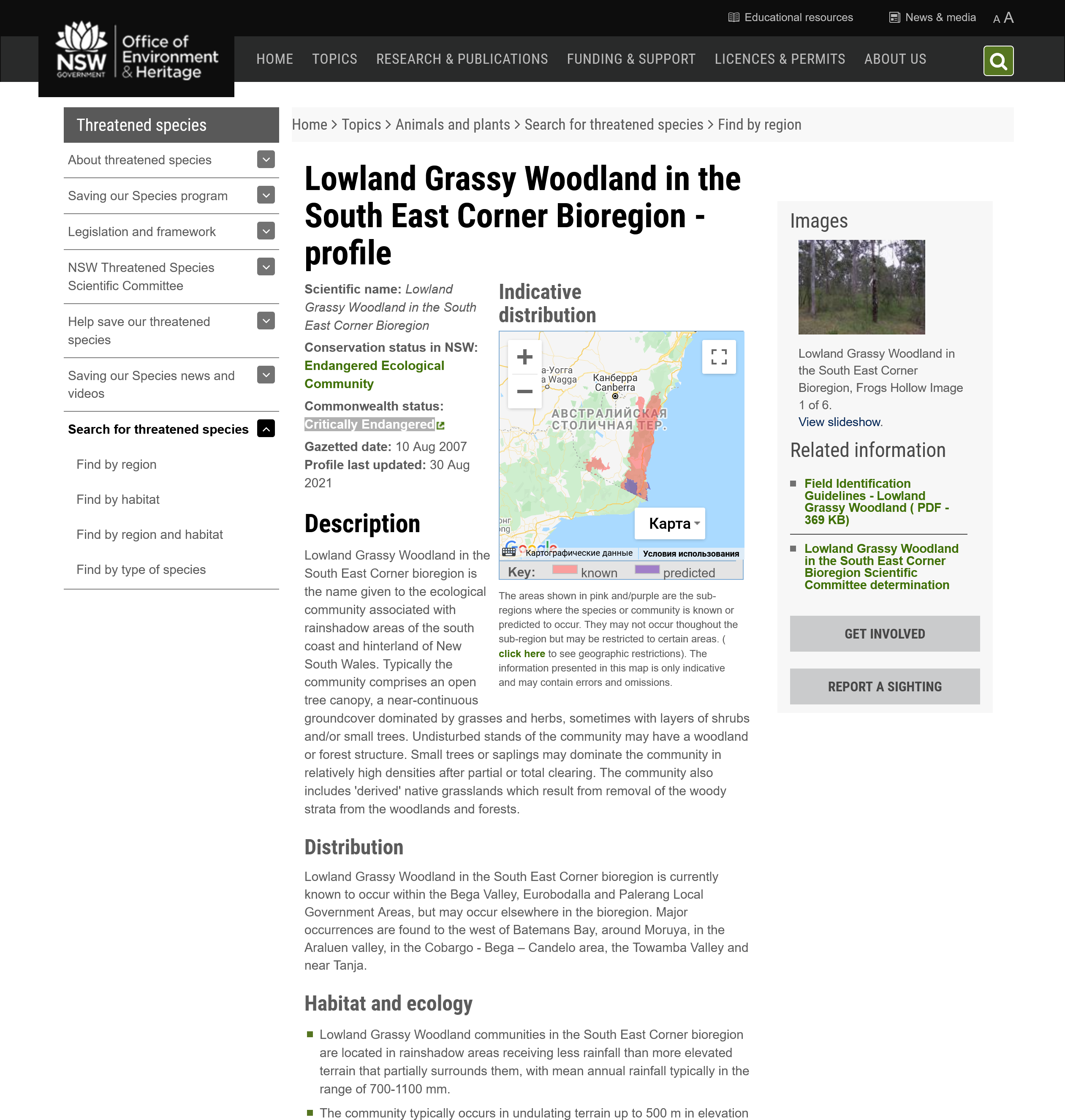 Lowland Grassy Woodland in the South East Corner Bioregion 